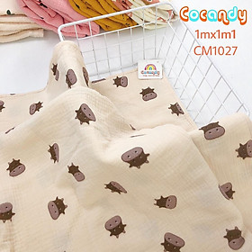 Mua Chăn xô cho bé đa năng chất liệu mềm mại kích thước 1mx1m1 của COCANDY mã CM101  CM102