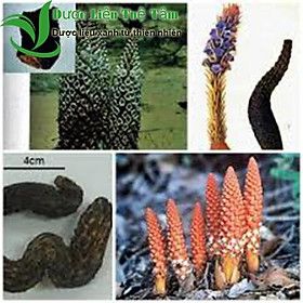 Mua 1kg Nhục thung dung - loại đen dẻo cao cấp