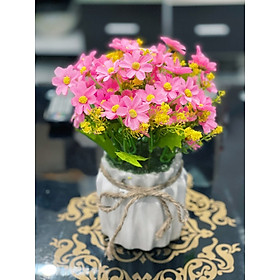 Mua Siêu rẻ-Chậu hoa tú cầu rực rỡ sắc màu (Kèm chậu)-Hoa giả trang trí để bàn