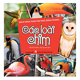 Sách Bách Khoa Toàn Thư Nhỏ (Bằng Tranh) - Các Loài Chim
