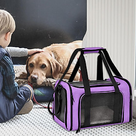 Cho Thú Cưng Chó Xe Du Lịch Tàu Sân Bay Vận Chuyển Túi Mang Theo Túi Có Thể Giặt Cặp Lồng - Purple