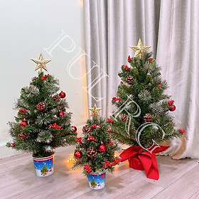 Cây thông noel mini để bàn 3 loại lá có gắn phụ kiện trang trí cây thông giáng sinh đế bọc vải đỏ có ngôi sao đỉnh màu đỏ cực xinh xắn