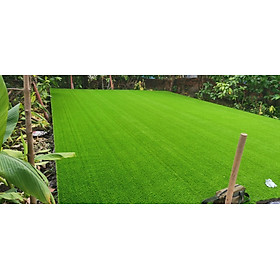 Mua Thảm cỏ nhân tạo Kích thước: 30x30cm