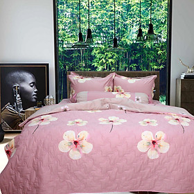 Bộ ga gối 4 món cotton satin Hàn Julia 404BK18