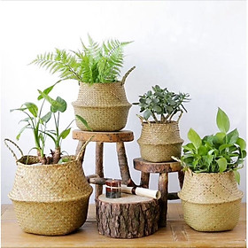 Mua Giỏ Cói Trồng Cây Đơn Giản  Phong Cách Vintage BHWH