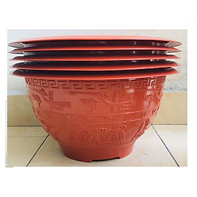 5 Chậu Trồng Cây Hoa ,Cây Cảnh Đức Minh Trống Đồng 38
