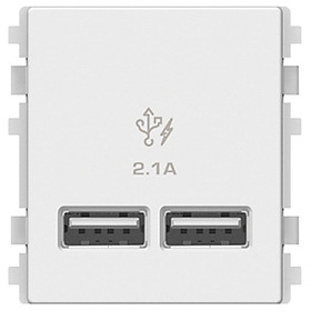 Hình ảnh Ổ sạc USB 2.1A đôi Schneider Electric dòng ZENCELO A (Size 2S)