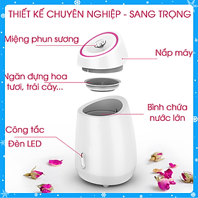 Máy xông hơi da mặt hoa quả, thảo dược - màu ngẫu nhiên - Hàng Chất Lượng