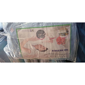 Gối nằm ngủ người lớn, 1 cái gối gòn ép hơi có sẵn vỏ cotton cao cấp 40 x60cm Gối siêu êm.