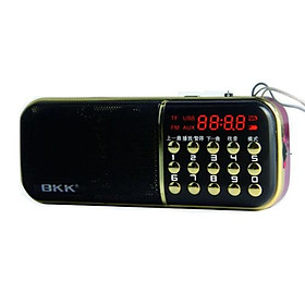 Mua Loa Nghe Nhạc Usb Thẻ Nhớ FM BKK 851