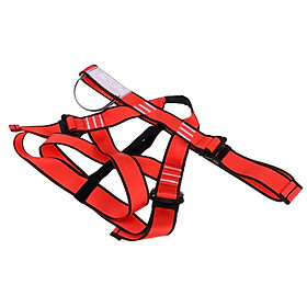 Outdoor Rock Tree Climbing Harness Half Body Rappelling Rescue Safety Seat Belt