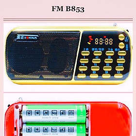 Mua Loa Nghe FM USB Thẻ Nhớ Kèm 3 Pin Siêu Trâu