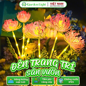Mua Đèn Trang Trí Năng Lượng Mặt Trời Hình Hoa Bỉ Ngạn  Sử Dụng Liên Tục 8-12 tiếng - DA3022