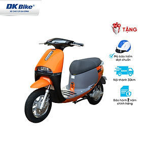 Xe máy điện DK Bike New Gogo New 2022