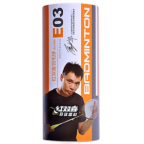 Hộp Cầu Lông DHS E-E03 (3 Quả)