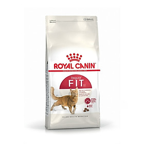 Thức ăn cho mèo trưởng thành Royal Canin FIt 32