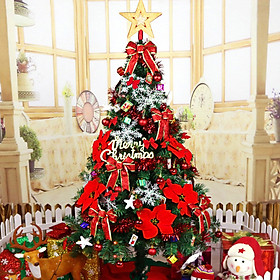 Mua Cây thông NOEL 1.5m trang trí cho giáng sinh an lành