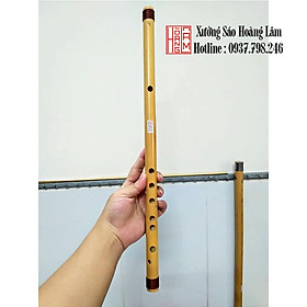 Mua Sáo trúc Hoàng Lâm 10 lỗ cơ bản  tone đô C5 chuẩn âm  giá rẻ cho người mới tập chơi HL20N tặng túi nhung đựng bảo vệ sáo