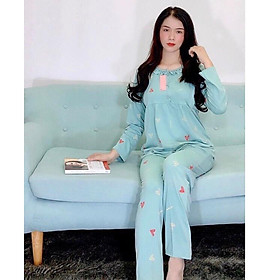 Bộ bầu và sau sinh mặc nhà thu đông dài tay,nhiều mầu,free size 42-70kg
