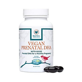 No Fish No Fish Vegan Prenatal DHA, Algae Omega 3 Supplements, Supports Baby's Brain and Eye Development During Pregnancy and Lactation, Easy to Swallow, 60 Ct, Best Nest Wellness