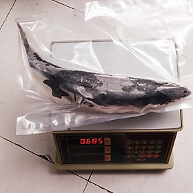 1 con cá Thu Nhật ~680g