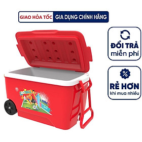 Mua THÙNG ĐÁ DUY TÂN 60 LÍT- 85 LÍT