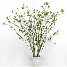 Mua Cành liễu Salix cao cấp mô phỏng giống thật đến 99%