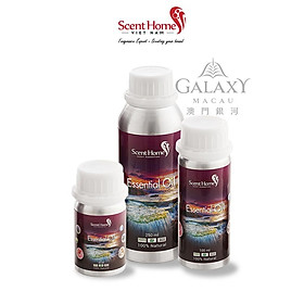 Tinh dầu Scent Homes - mùi hương (Galaxy Macau)