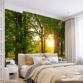 Mua Tranh dán tường 3D bình minh PC25