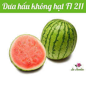 Hạt giống Dưa Hấu không hạt 211 - Xuất xứ Thái Lan
