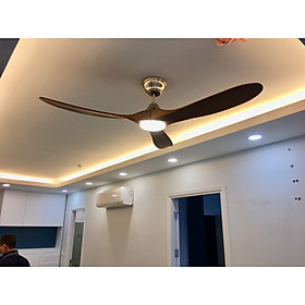 Mua Quạt trần EAGLE lED Có đèn - Quạt trần MR.VU hàng nhập khẩu chính hãng