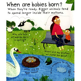 Usborne Where do babies come from?