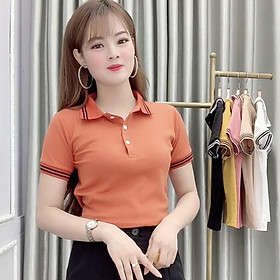 Áo Thun Polo Nữ Trơn Phông Basic Tay Ngắn Cổ Bẻ Cotton Trẻ trung đơn giản 6 Màu Trắng Đen Cam Vàng - Hanlly Fashion A21