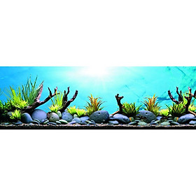 tranh trang trí bể cá các kt: 120x60, 180x90 - 1