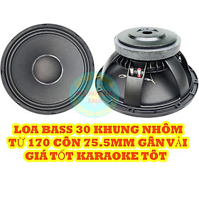 Mua LOA BASS 30 MARTIN TỪ 170 COIL 76 - GIÁ 1 CHIẾC - GÂN VẢI - BASS CĂNG TIẾNG SÁNG - CỦ LOA RỜI