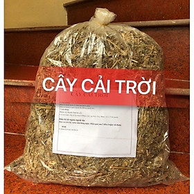 Mua cây cải trời khô 1kg