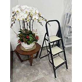 Thang ghế Đài Loan ST-03
