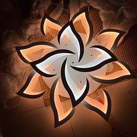 Đèn trần,đèn tô điểm phòng khách,đèn áp trần, đèn ốp trần, đèn trang trí, đèn decor DT