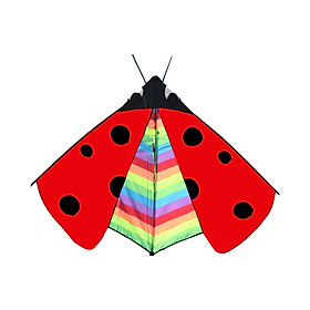 Large Delta    Flyer Flying Toys Huge  Windsock Colorful Triangle Ladybug