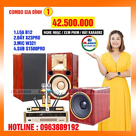 Mua Bộ dàn karaoke gia đình loa B12 giá 42 5 triệu - Hàng chính hãng