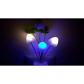 Mua Đèn ngủ Avatar cảm ứng ánh sáng
