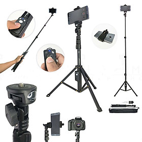 Mua Gậy tripod 1388 - Chân quay tiktok  gậy selfie  tự sướng - Tripod điện thoại  máy ảnh  DSLR kèm remote tiện dụng - Dễ dàng gấp gọn mang theo khi đi du lịch  picnic - Chiều dài từ 0.4m - 1.3m - Cấu tạo hợp kim chắc chắn  bền bỉ - Hàng nhập khẩu