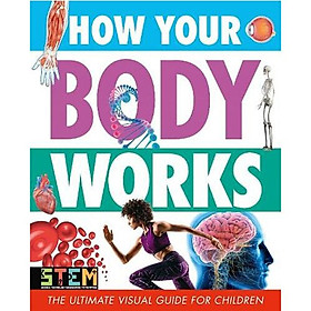Ảnh bìa How Your Body Works