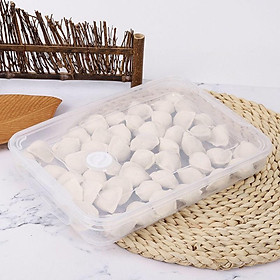 Mua Hộp Nhựa Đựng Dự Trữ Thức Ăn Đựng Được 60 Trái Trứng Gà