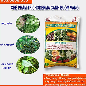 Mua Trichoderma 1kg - chế phẩm hữu cơ diệt nấm đối kháng  tăng hiệu lực đối kháng cho cây trồng