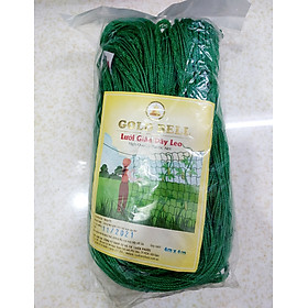Mua lưới giàn dây leo bầu bí cỡ lớn  4m x 4m