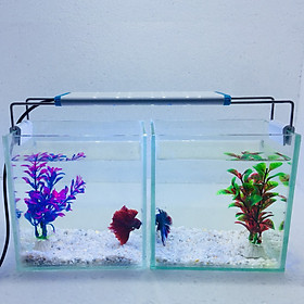 Combo 2 bể cá mini để bàn 15cm có đèn led