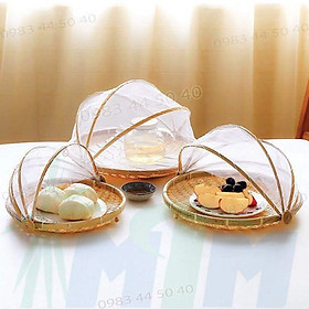 Mua Lồng bàn lưới picnic