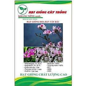 Hạt giống cây hoa ban tím tây bắc - Gói 10 hạt