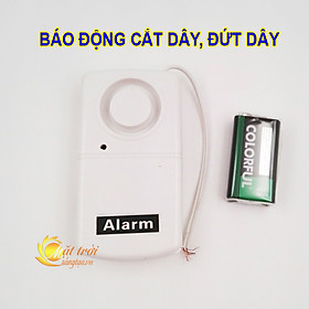 Báo động chống trộm cắt dây, đứt dây